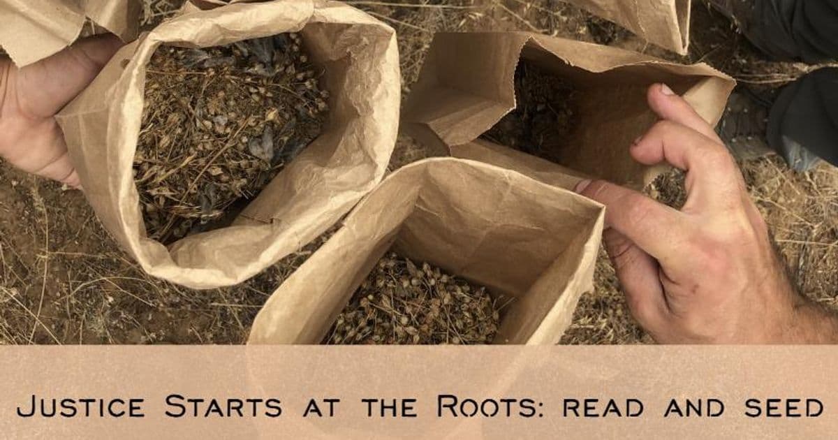 Justice Starts at the Roots: Read and Seed
