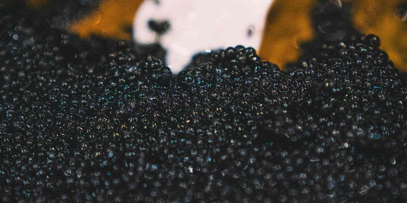 Fried Chicken & Caviar