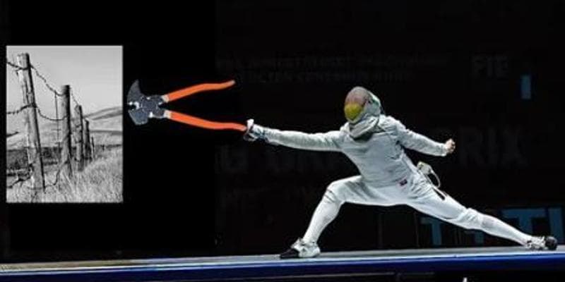 Tearing It Down: Fence Removal for Wildlife