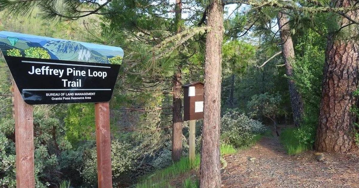 Illinois Valley Nickel Mining Threat Hike Series: Jeffrey Pine Loop River Walk