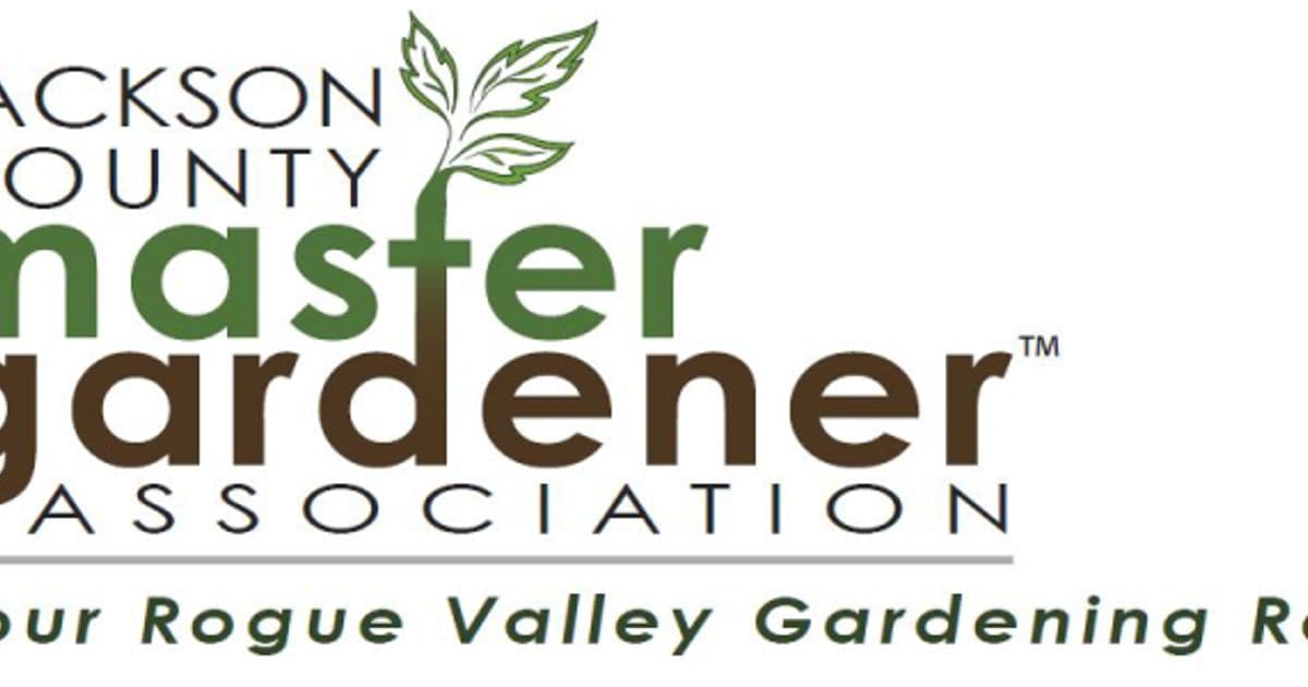 Cultivating Companions: Growing Together Through Plants