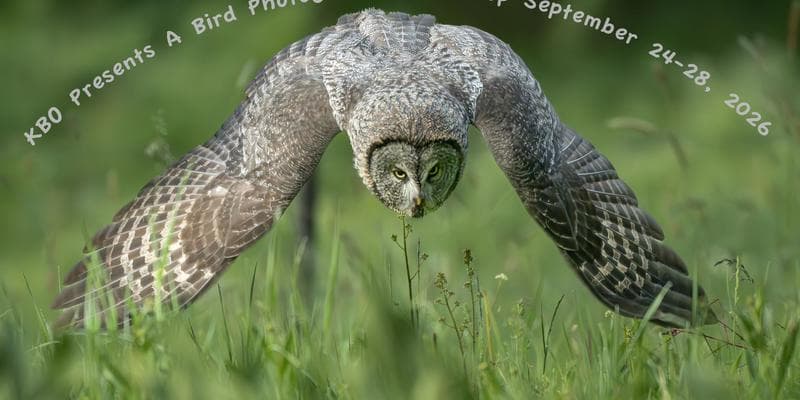 Bird Photography Workshop