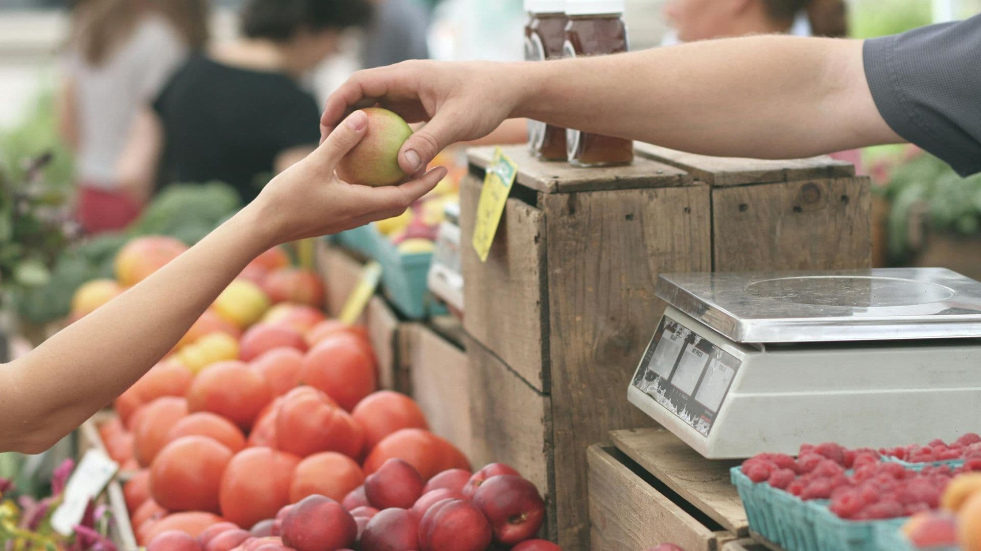Compost Drop-Off at the Ashland Tuesday Market