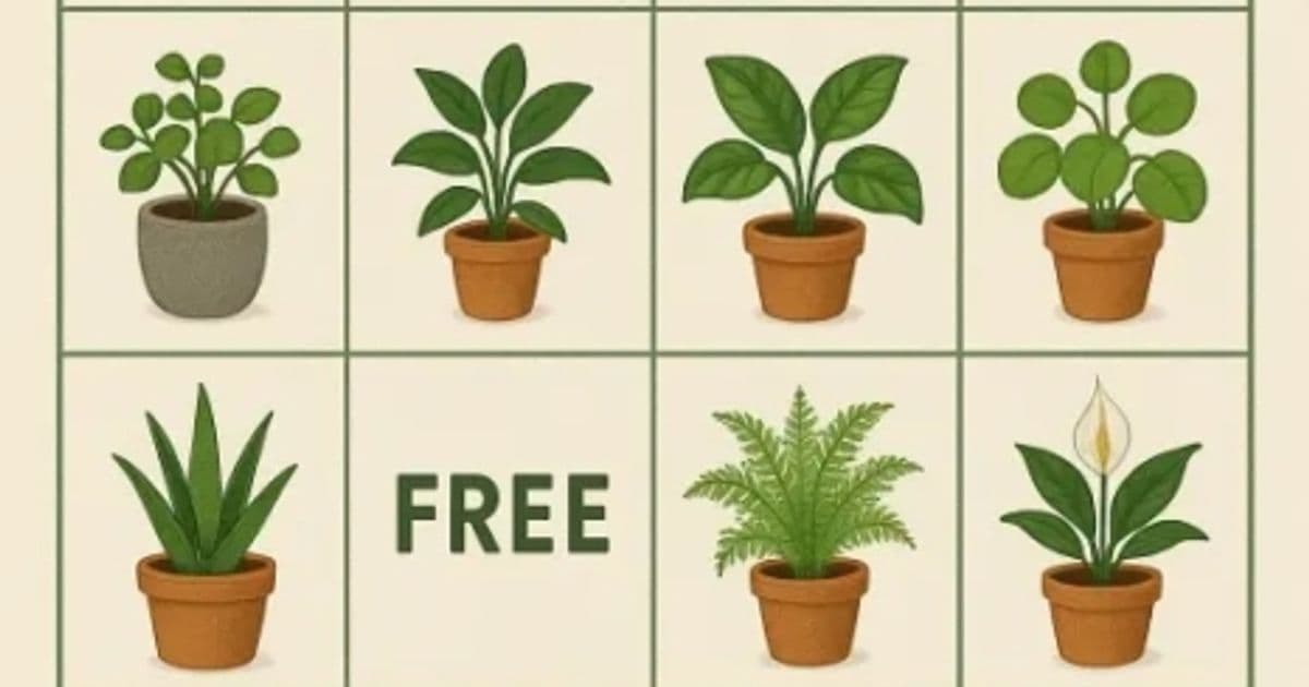 Plant Bingo