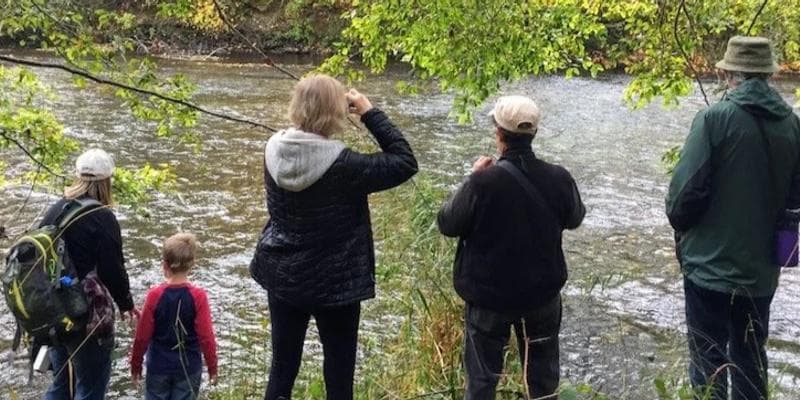 Salmon Viewing Happy Hour