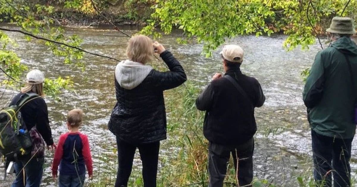 Salmon Viewing Happy Hour