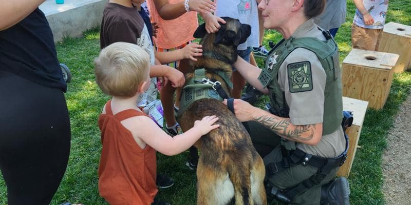 Animal Encounters