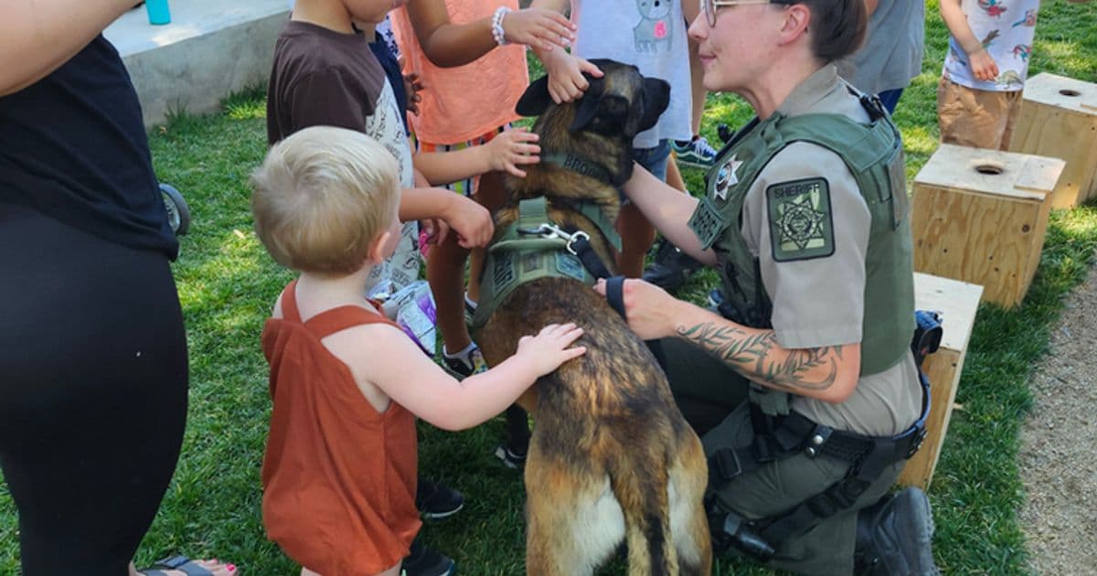 Animal Encounters