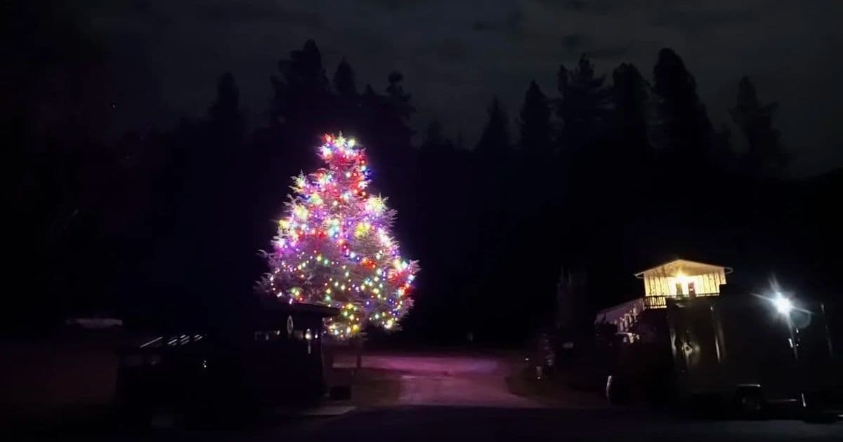 Annual Tree Lighting
