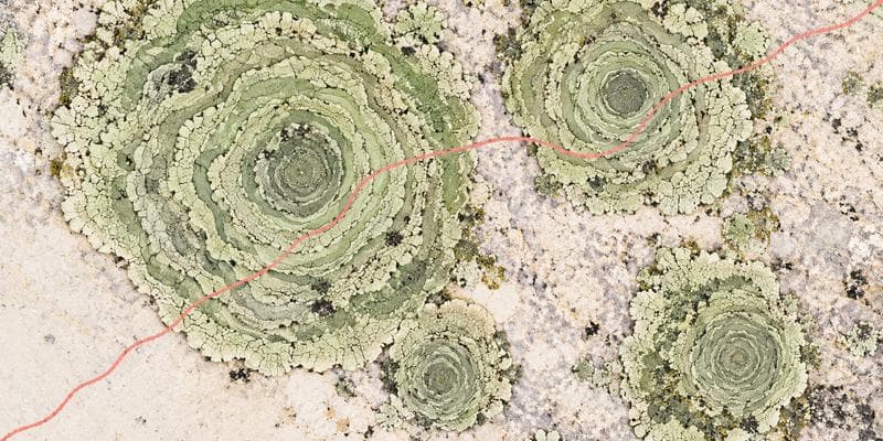Bioregional Explorers Club: The Second Expedition