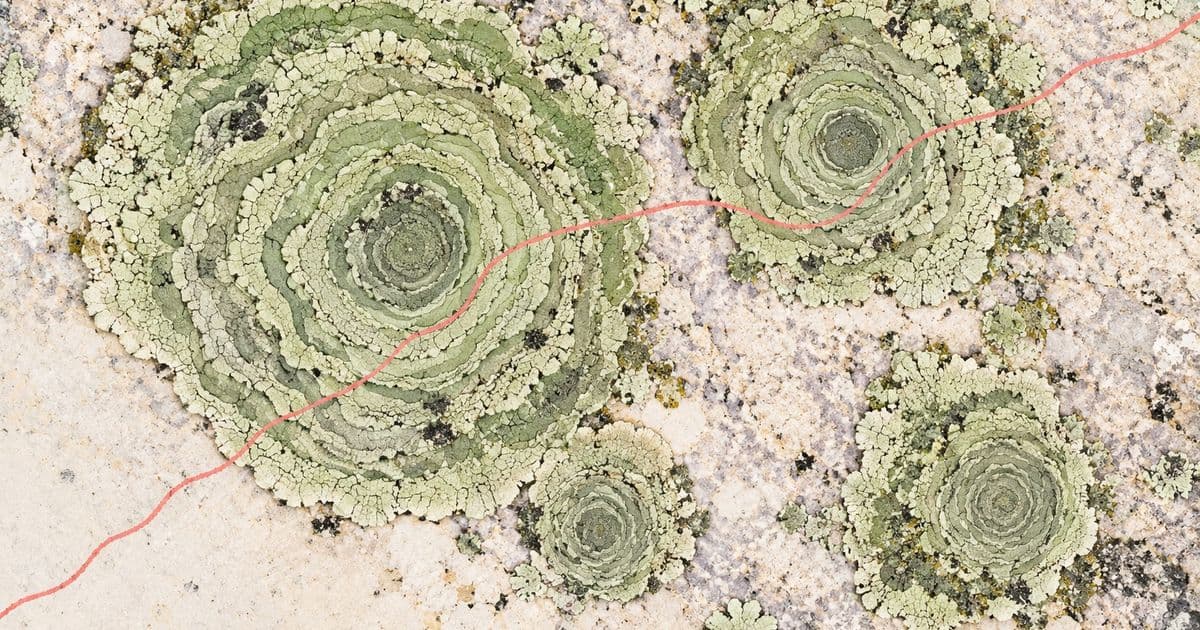 Bioregional Explorers Club: The Second Expedition
