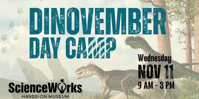 Dinovember Day Camp