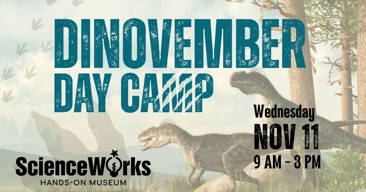 Dinovember Day Camp