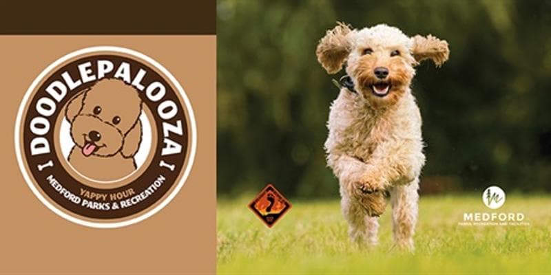 Doodle Palooza (Yappy Hour Presents)