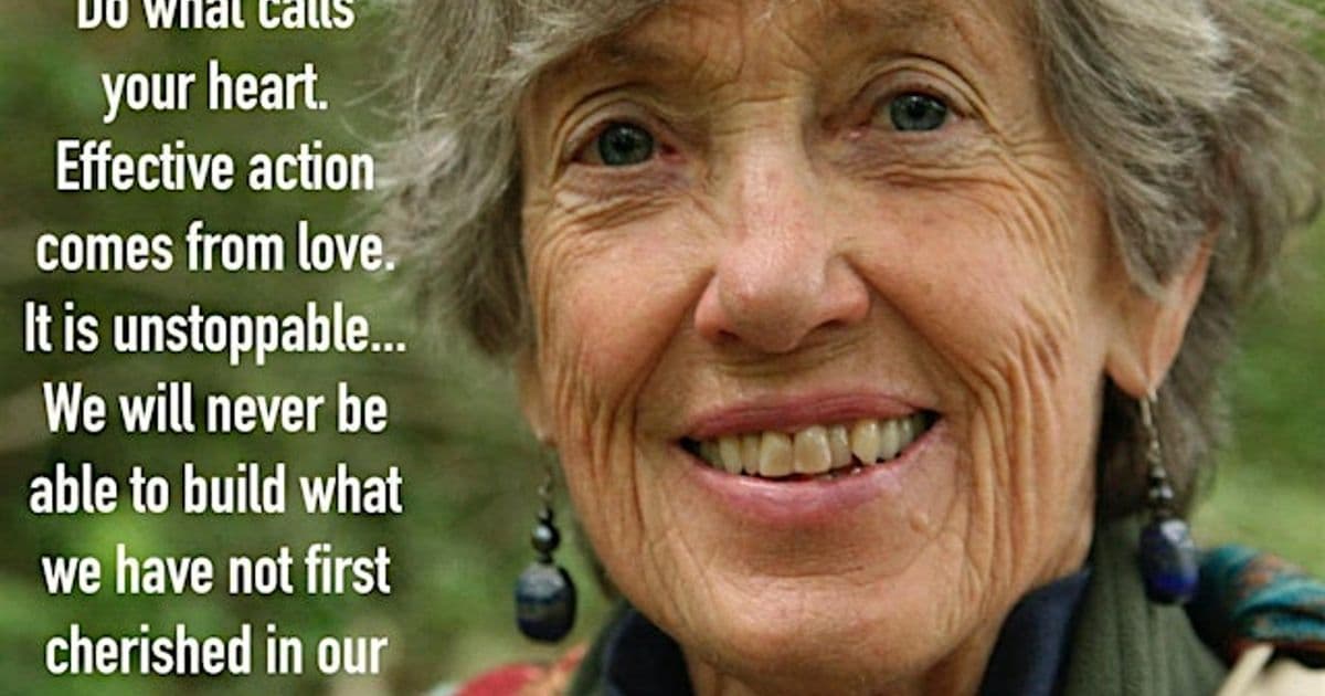 Active Hope - Tools to Reconnect in Regenerative Community