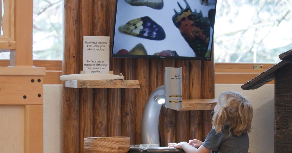 Free Day at the Museum in honor of Lyn Hennion