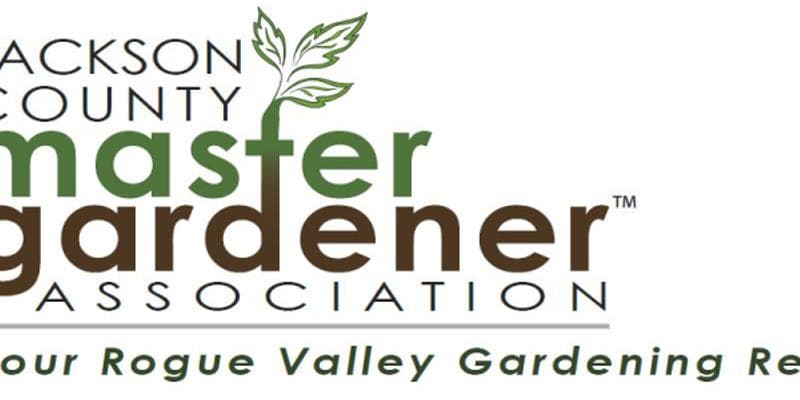 Cultivating Companions: Growing Together Through Plants
